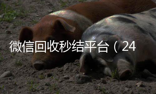 微信回收秒结平台（24回收微信号小时高价回收微信秒结平台正规微信号回收秒结）
